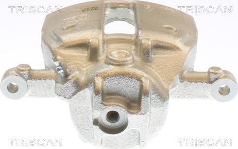 Triscan 8175 10133 - Bremžu suports www.autospares.lv