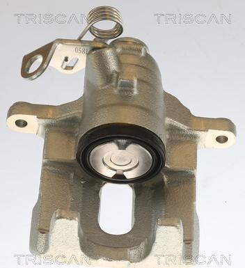 Triscan 8175 10209 - Bremžu suports autospares.lv