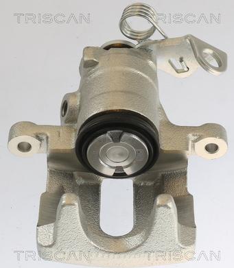 Triscan 8175 10202 - Bremžu suports autospares.lv