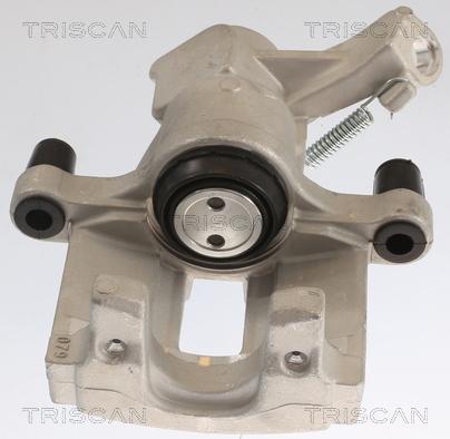 Triscan 8175 10207 - Bremžu suports www.autospares.lv