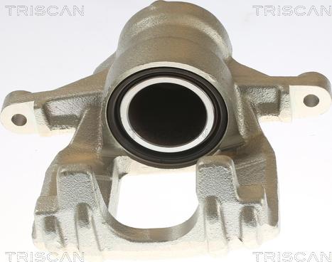 Triscan 8175 10219 - Bremžu suports www.autospares.lv