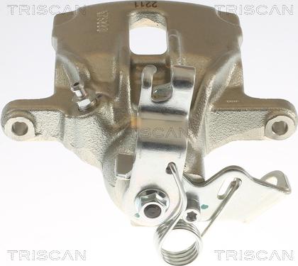 Triscan 8175 10210 - Bremžu suports www.autospares.lv