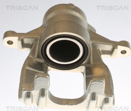 Triscan 8175 10220 - Bremžu suports www.autospares.lv