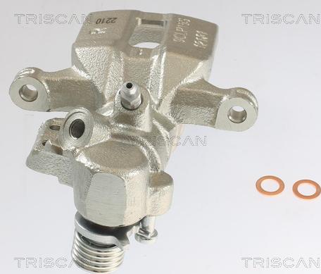 Triscan 8175 10228 - Bremžu suports www.autospares.lv