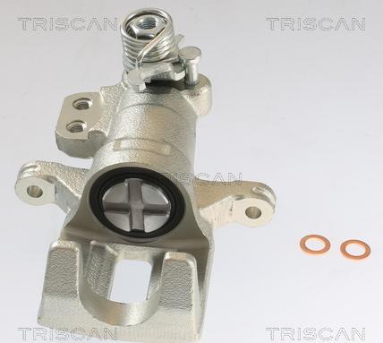 Triscan 8175 10228 - Bremžu suports www.autospares.lv