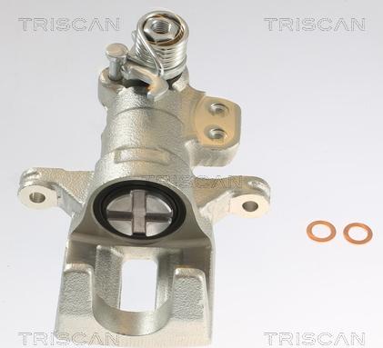 Triscan 8175 10227 - Bremžu suports www.autospares.lv