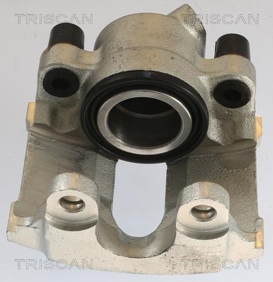 Triscan 8175 11101 - Bremžu suports www.autospares.lv