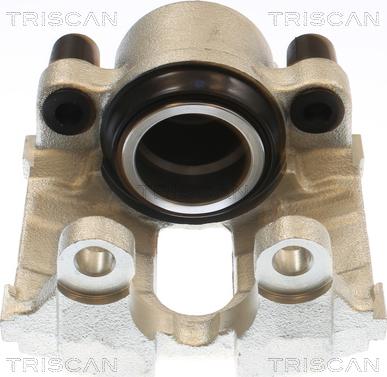 Triscan 8175 11119 - Bremžu suports www.autospares.lv