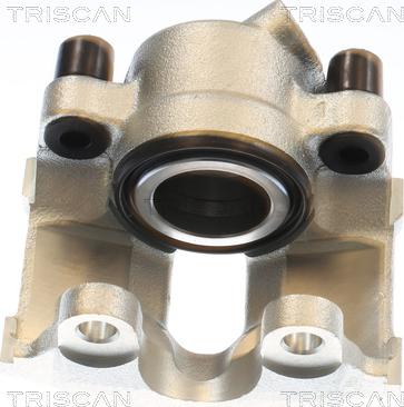 Triscan 8175 11135 - Bremžu suports www.autospares.lv