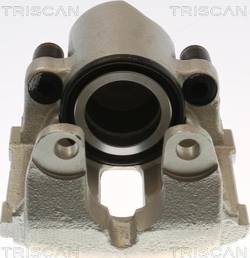 Triscan 8175 11137 - Bremžu suports www.autospares.lv