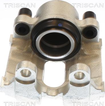 Triscan 8175 11120 - Bremžu suports www.autospares.lv