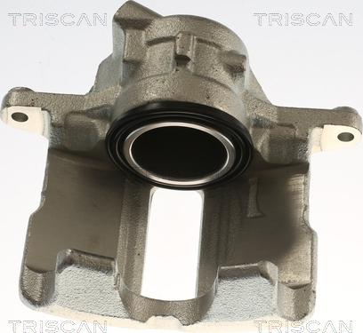 Triscan 8175 29143 - Bremžu suports www.autospares.lv