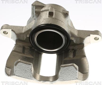 Triscan 8175 29153 - Bremžu suports www.autospares.lv