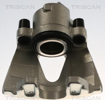 Triscan 8175 29152 - Bremžu suports www.autospares.lv