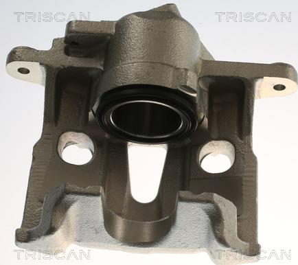 Triscan 8175 29161 - Bremžu suports www.autospares.lv