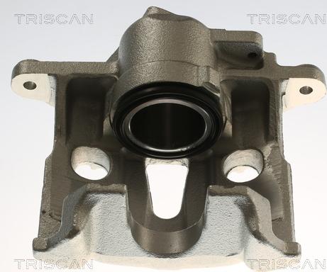 Triscan 8175 29162 - Bremžu suports www.autospares.lv