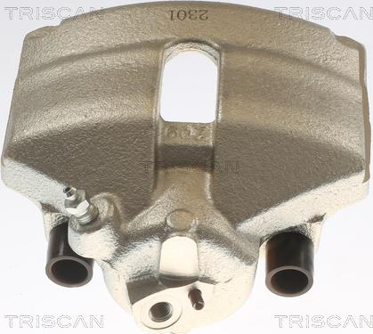 Triscan 8175 29101 - Bremžu suports www.autospares.lv