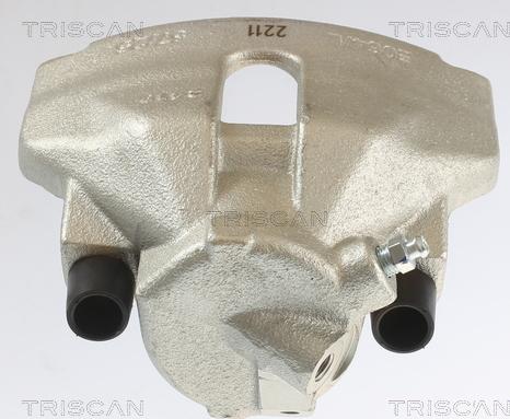 Triscan 8175 29103 - Bremžu suports www.autospares.lv