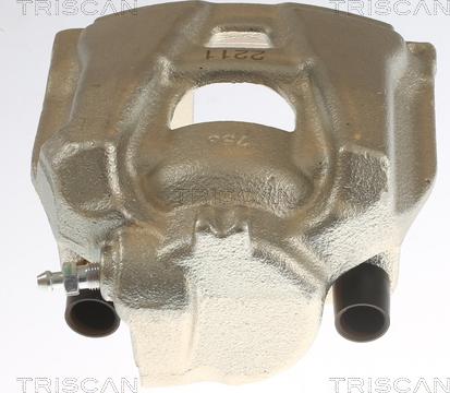 Triscan 8175 29112 - Bremžu suports www.autospares.lv