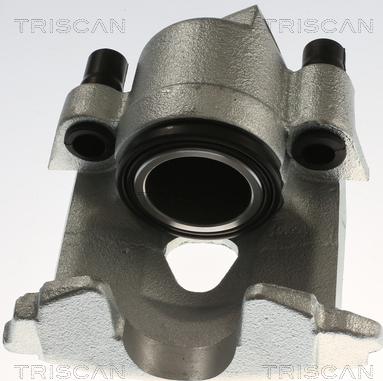 Triscan 8175 29130 - Bremžu suports www.autospares.lv