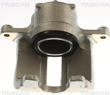 Triscan 8175 29125 - Bremžu suports www.autospares.lv