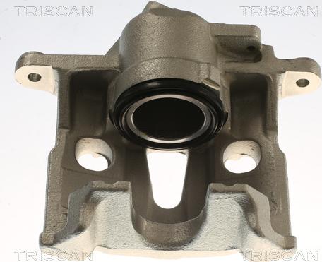 Triscan 8175 29176 - Bremžu suports www.autospares.lv