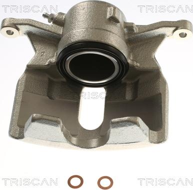 Triscan 8175 29177 - Bremžu suports www.autospares.lv