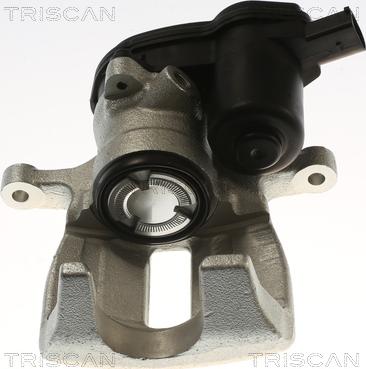 Triscan 8175 29252 - Bremžu suports www.autospares.lv