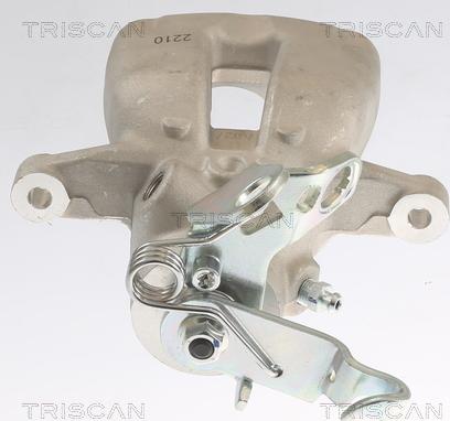 Triscan 8175 29206 - Bremžu suports www.autospares.lv