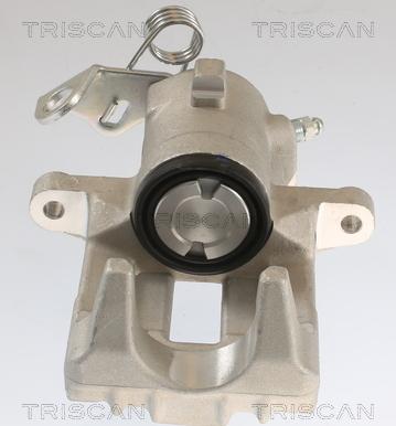 Triscan 8175 29203 - Тормозной суппорт www.autospares.lv