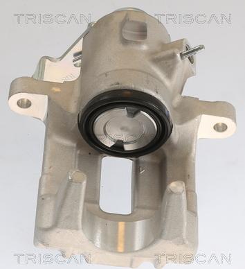 Triscan 8175 29225 - Bremžu suports www.autospares.lv