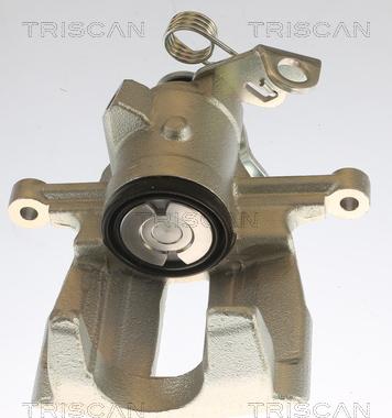 Triscan 8175 29220 - Тормозной суппорт www.autospares.lv