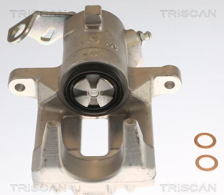 Triscan 8175 29221 - Bremžu suports www.autospares.lv