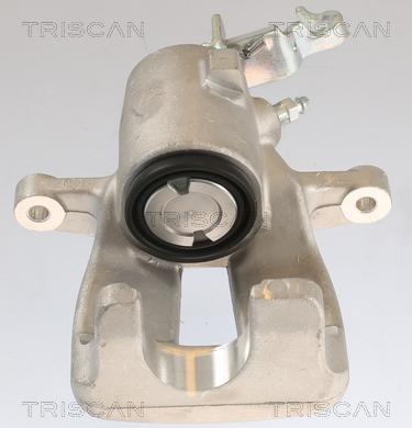 Triscan 8175 29228 - Bremžu suports autospares.lv