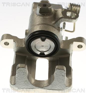 Triscan 8175 29275 - Bremžu suports www.autospares.lv