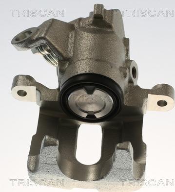 Triscan 8175 29271 - Bremžu suports www.autospares.lv