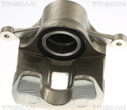 Triscan 8175 24118 - Bremžu suports www.autospares.lv