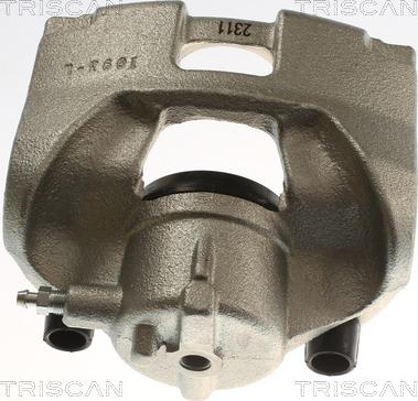 Triscan 8175 24113 - Bremžu suports www.autospares.lv