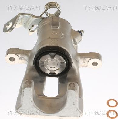 Triscan 8175 24201 - Тормозной суппорт www.autospares.lv