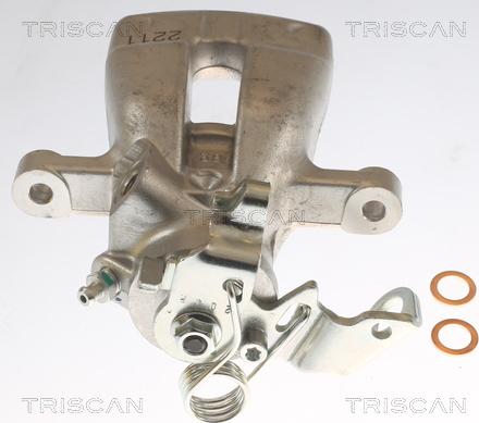 Triscan 8175 24202 - Bremžu suports www.autospares.lv