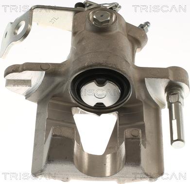 Triscan 8175 24219 - Bremžu suports www.autospares.lv