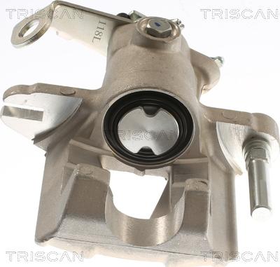 Triscan 8175 24223 - Bremžu suports www.autospares.lv