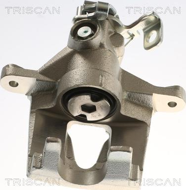 Triscan 8175 25213 - Bremžu suports www.autospares.lv