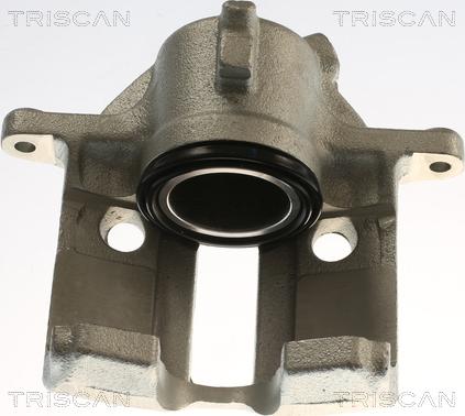 Triscan 8175 28116 - Bremžu suports www.autospares.lv