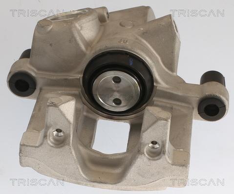 Triscan 8175 28209 - Bremžu suports www.autospares.lv