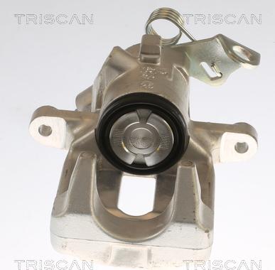 Triscan 8175 28202 - Bremžu suports www.autospares.lv