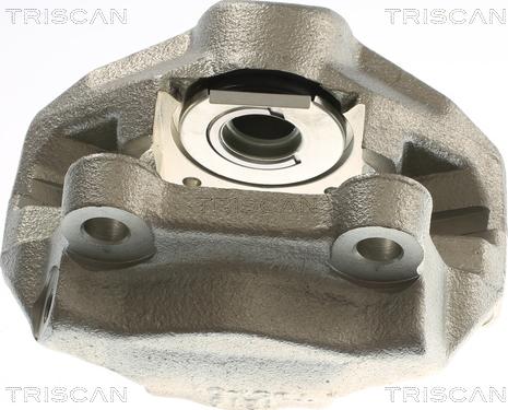 Triscan 8175 23213 - Bremžu suports www.autospares.lv