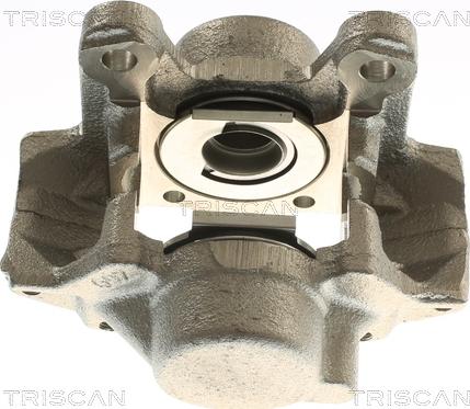 Triscan 8175 23221 - Bremžu suports www.autospares.lv