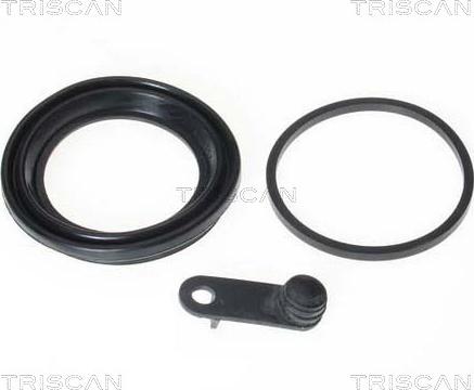 Triscan 8170 189961 - Blīve, Bremžu suporta virzulītis www.autospares.lv