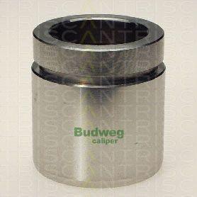 Triscan 8170 234834 - Piston, brake caliper www.autospares.lv